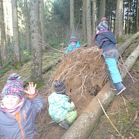 Wer wohl unter der Wurzel wohnt?