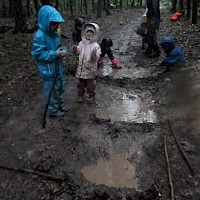 Ein Staudamm reiht sich an den anderen!