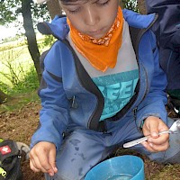 Zucker und Salz verschwinden im Wasser!