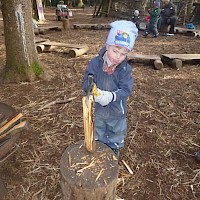 Für's Kartoffelfeuer braucht man Holz!