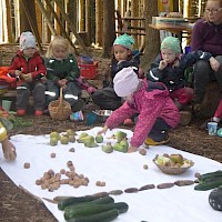 Viele Äpfel und Birnen kommen zum Vorschein.