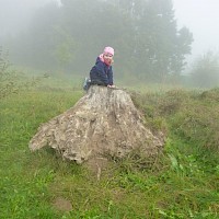 Vielleicht kann ich von hier oben besser sehen!
