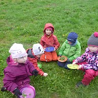 Feine Löwenzahnblätter frisch von der Wiese.