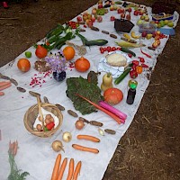 Unser kunterbunter Erntetisch!