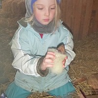 Aus Zapfen und Wolle werden kleine Schafe gebastelt.