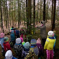 Ein Christbaum mitten im Wald mit kleinen Geschenken für die Waldlauser!