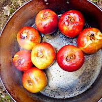 Fertig - wie das duftet und schmeckt!